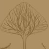 Thumb Sketch Barbaia Tree