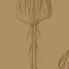 Thumb Sketch Beard Tree
